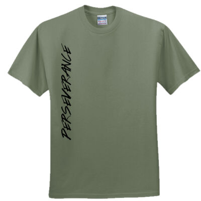 Basic Perseverance  Thumbnail